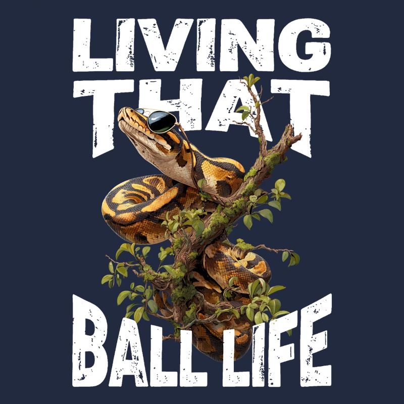 Königspython Schlangen Liebhaber Terrarium Python