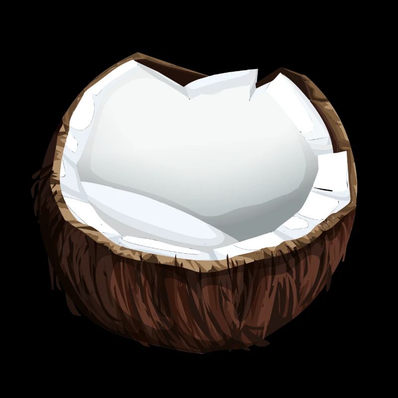 Kokosnuss Coconut Kokus Frucht