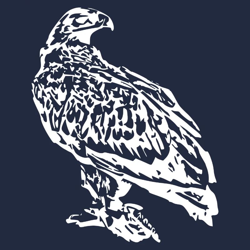 Hawk Bird White Birds