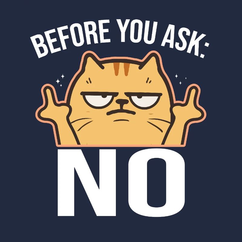 Chat effronté avec le majeur NON