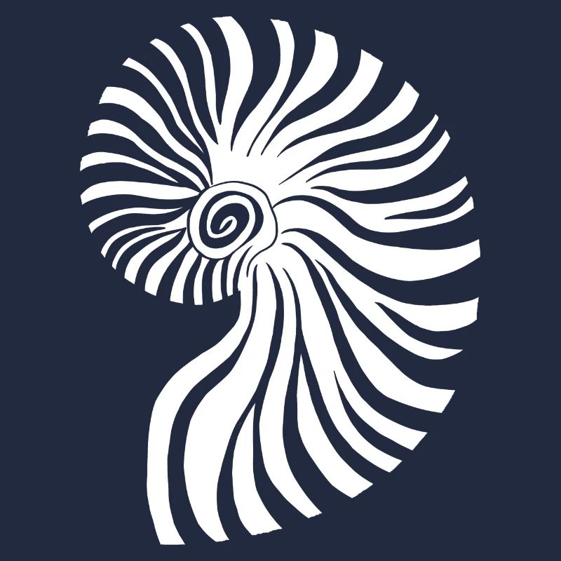 Contrasting spiral nautical pattern