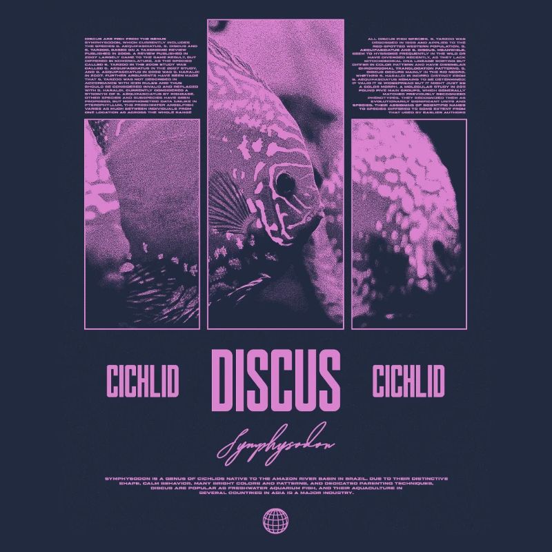 Discus Cichlidé Aquarium Fish Keeper