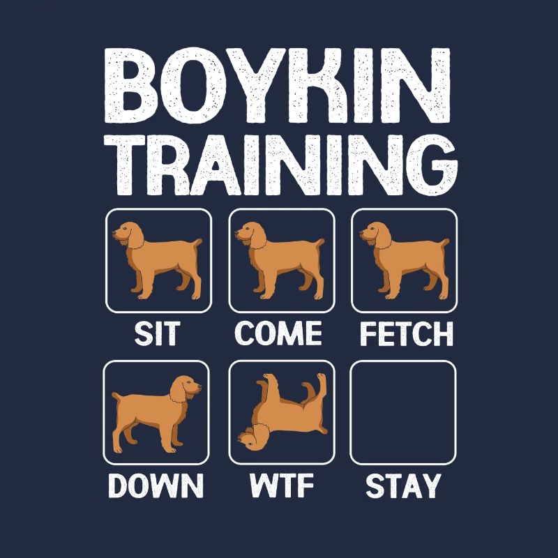 Boykin Spaniel
