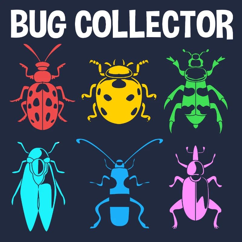 Insecte