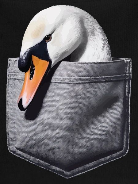 Schwan