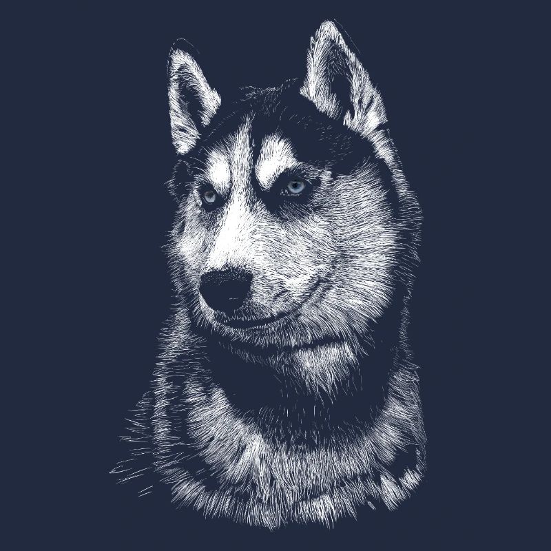 Husky