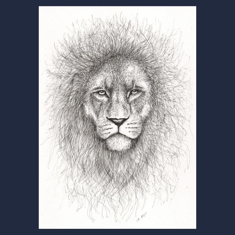 Very serious lion