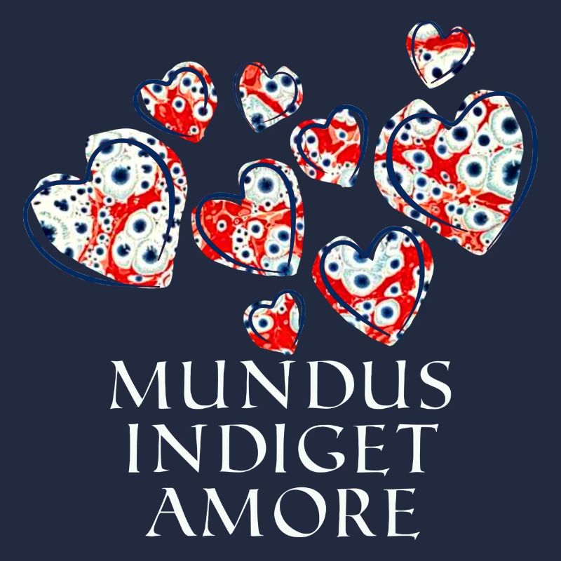 mundus indiget amore e 260