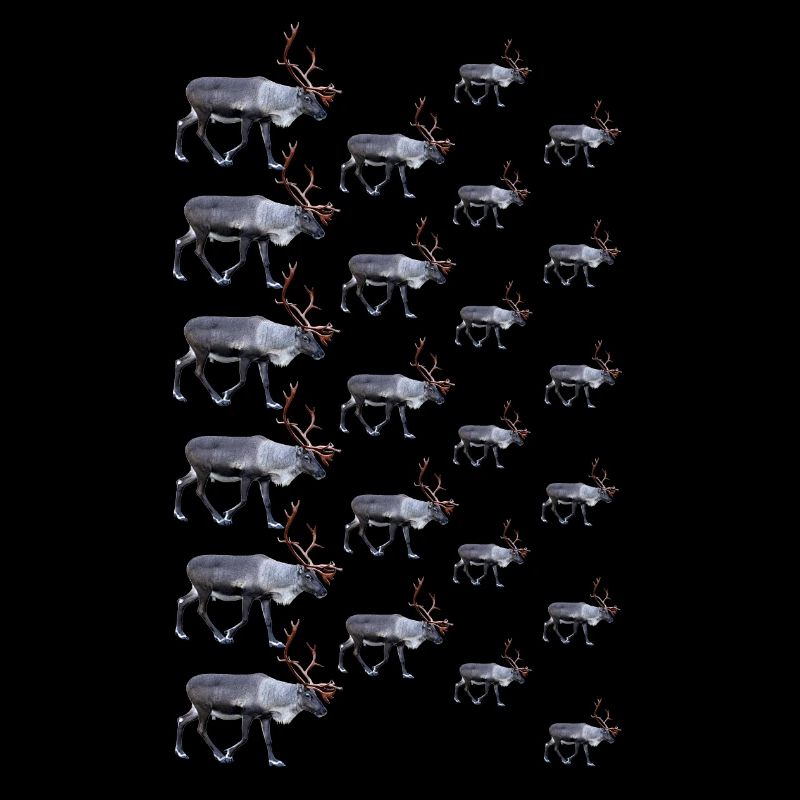 Reindeer