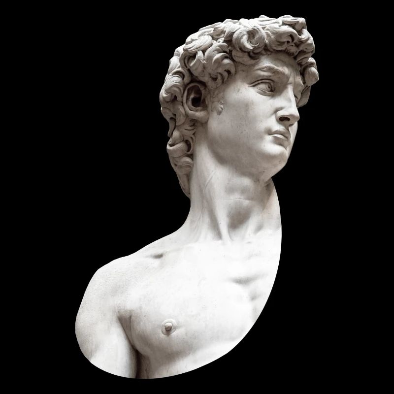 David | Michelangelo di Lodovico Buonarroti Simoni