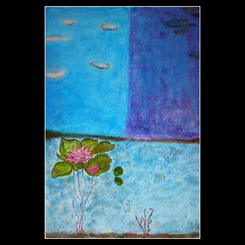 Classification RAUNKIER Hydrophyte Melika