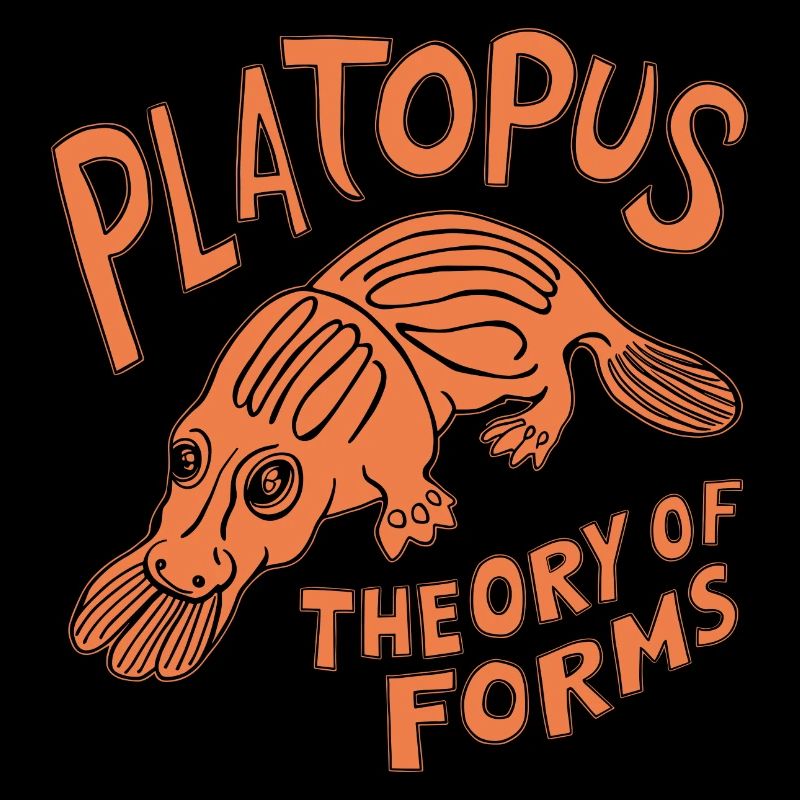 Théorie des Formes - Platopus Design