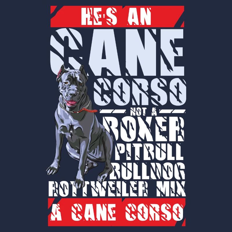 Cane Corso Confondant race de chien