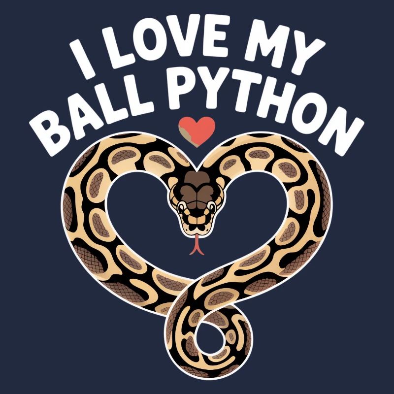 J’adore mon python royal ! Roi python