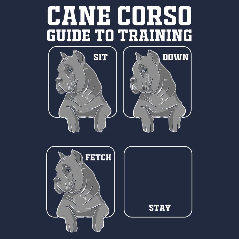 Cane Corso