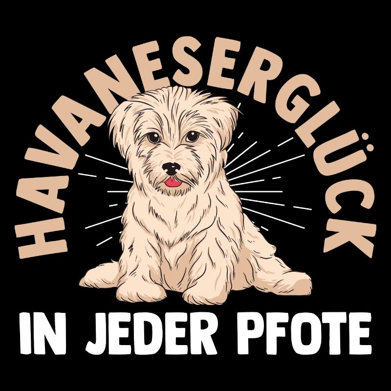 Dog Havanese