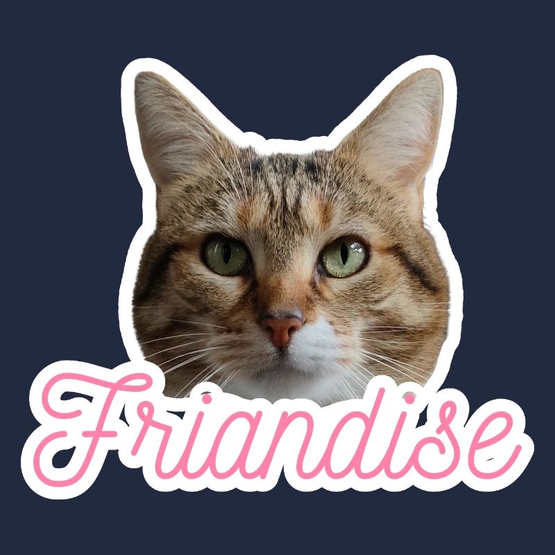 Missty friandise