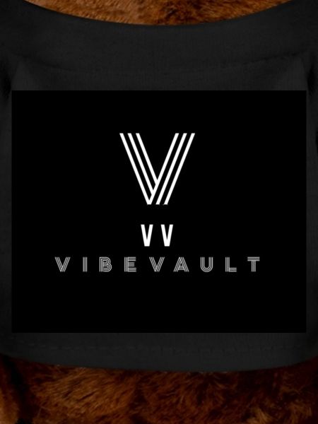 VibeVault