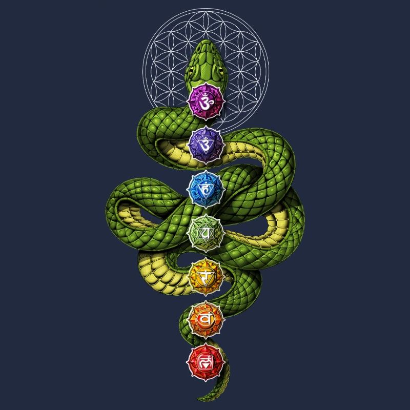Kundalini Chakras