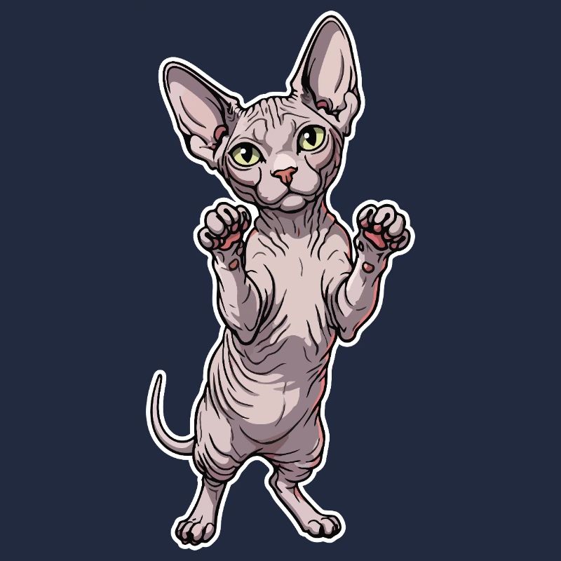Chat Sphynx Mignon Posture Debout Portrait