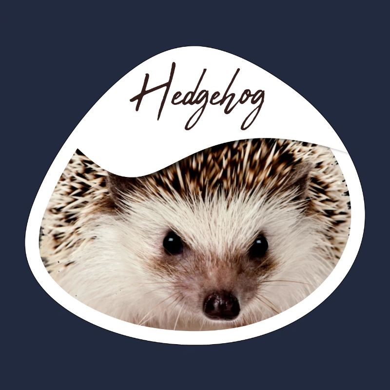 Hérisson