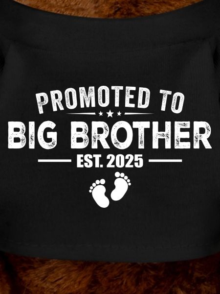 Isoveljeksi ylennetty on 2025 - Big Brother