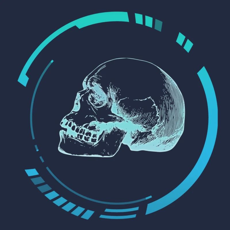 Human head X-ray image