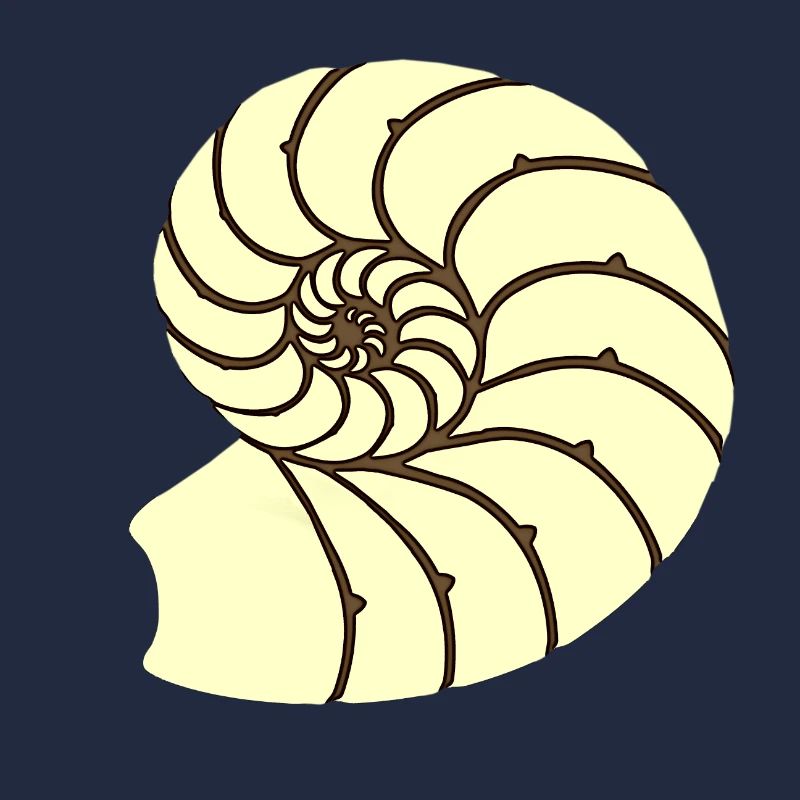 Ammoniten, Urzeitliches Wassertier, Badezimmer