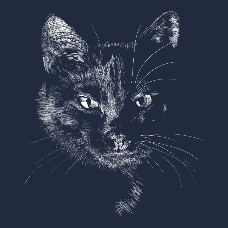 Chat noir