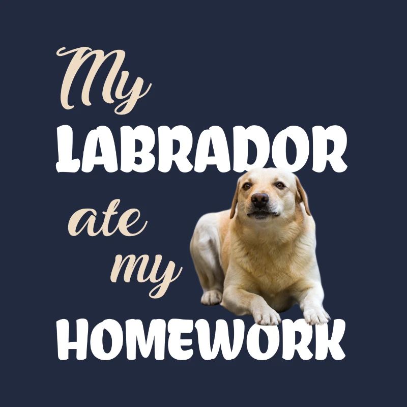 Labrador Hausaufgaben