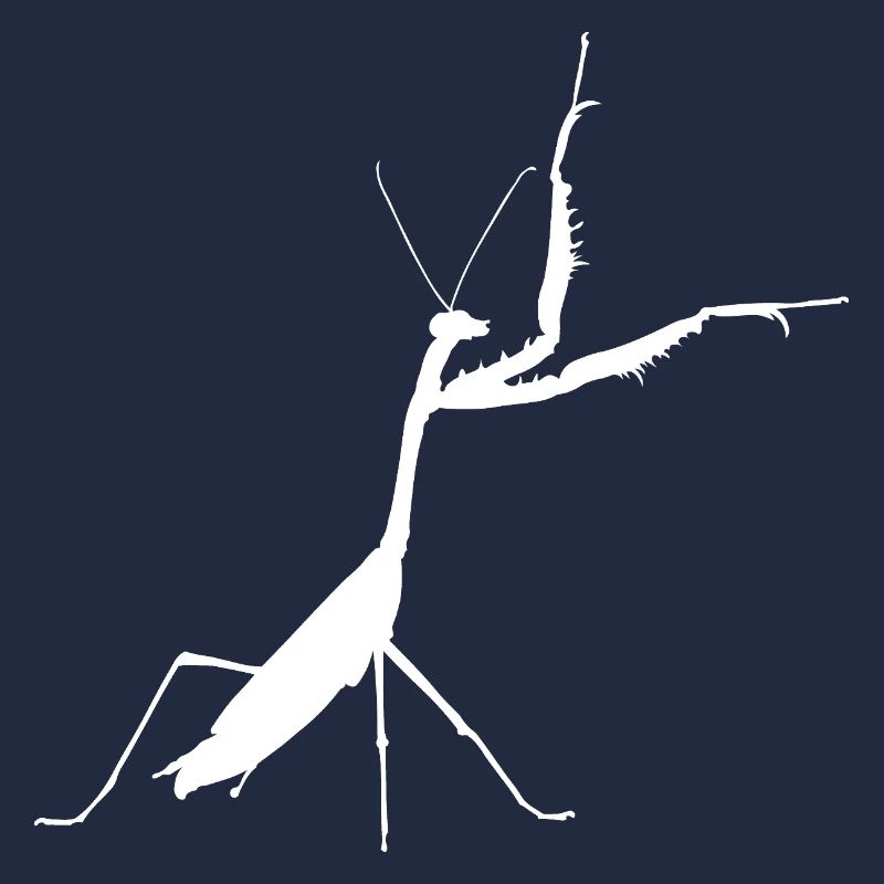 Praying mantis white