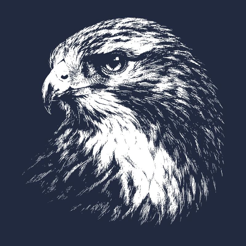 Falcon – Grafik mit weißem Bleistift