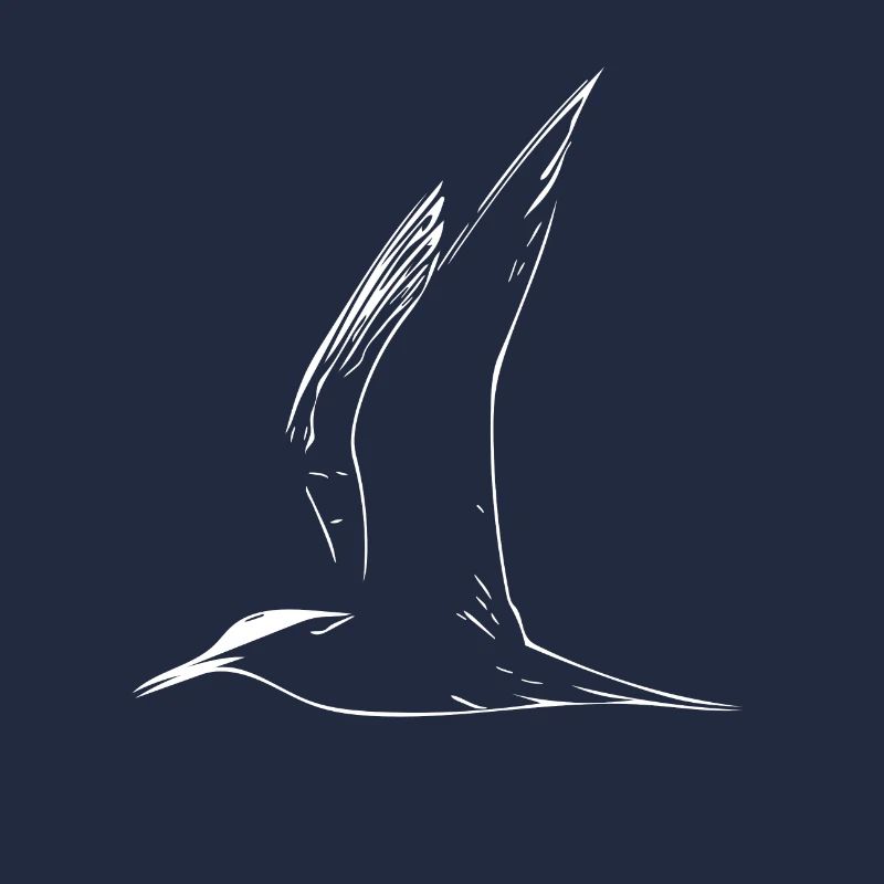 gull