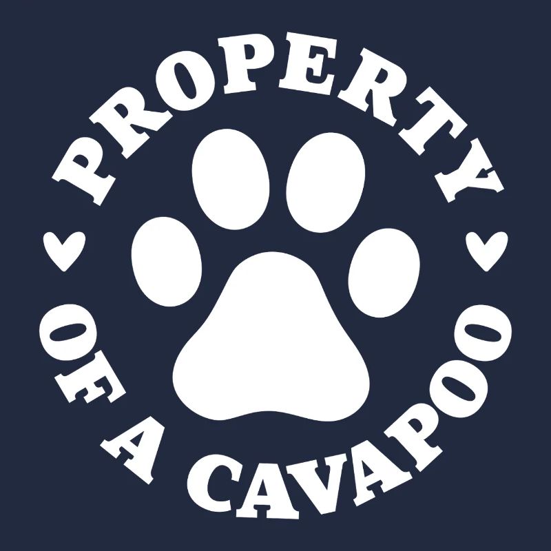 Eigentum eines Cavapoo