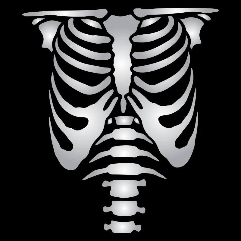Human skeleton bones torso