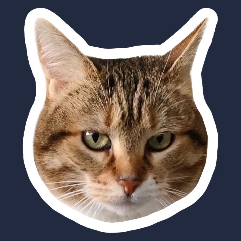 Missty sticker triste