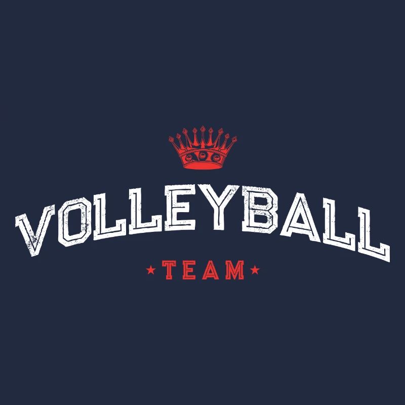Équipe de volley-ball