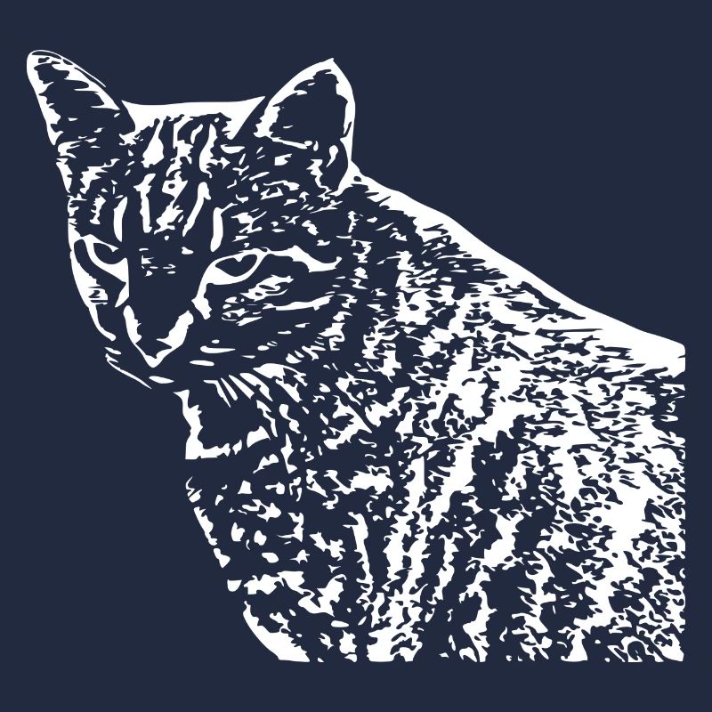 Chat Blanc Blanc Chats