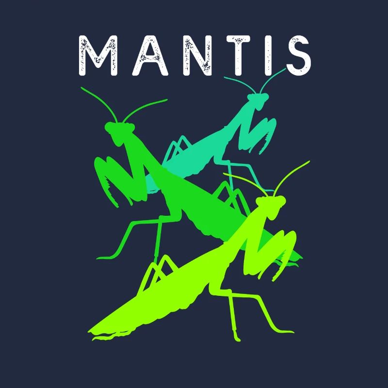 Gottesanbeter Gottesanbeterin Mantis