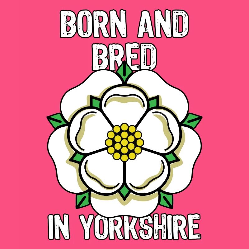 Dans le comté du Yorkshire, fière fleur du drapeau du Yorkshire