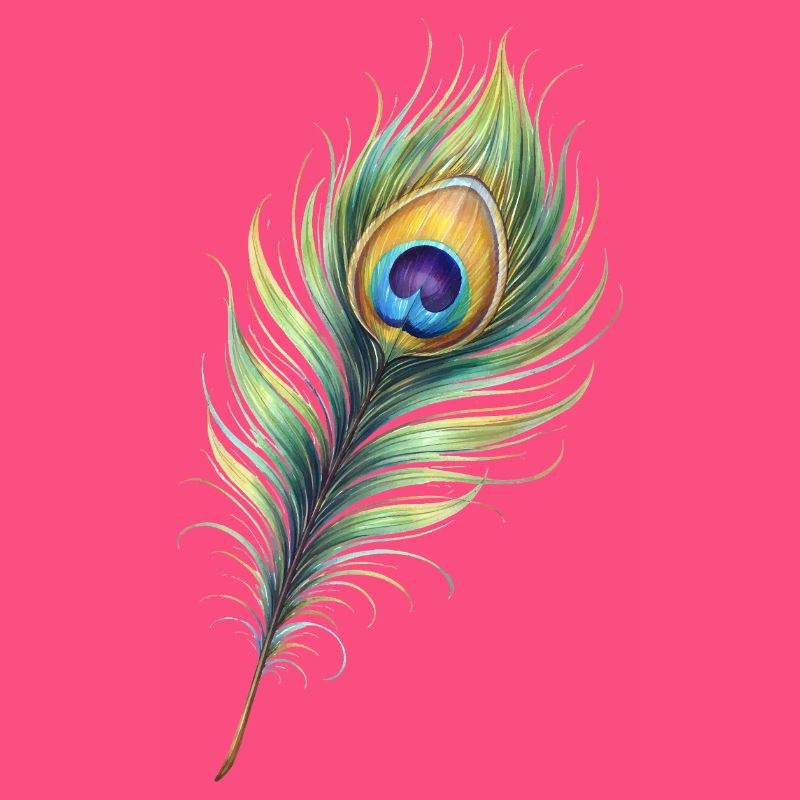 Peacock Feather Illustration Gradient Elegant