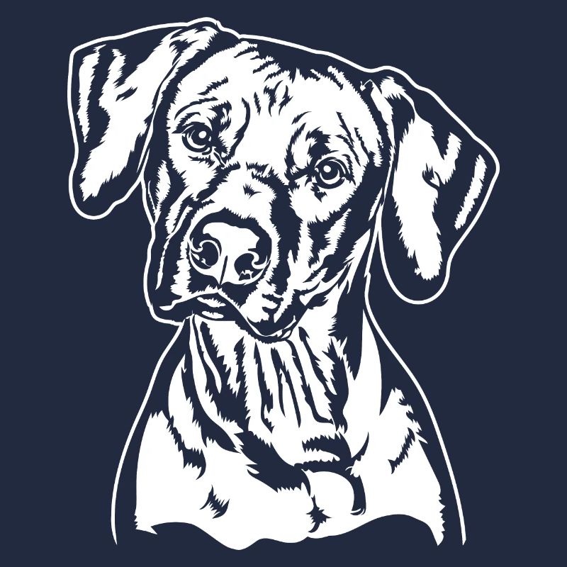 RHODESIAN RIDGEBACK Hunde Portrait Wilsigns