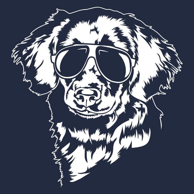 Stabjihoun cool Hunde Hund Stabyhoun Wilsigns