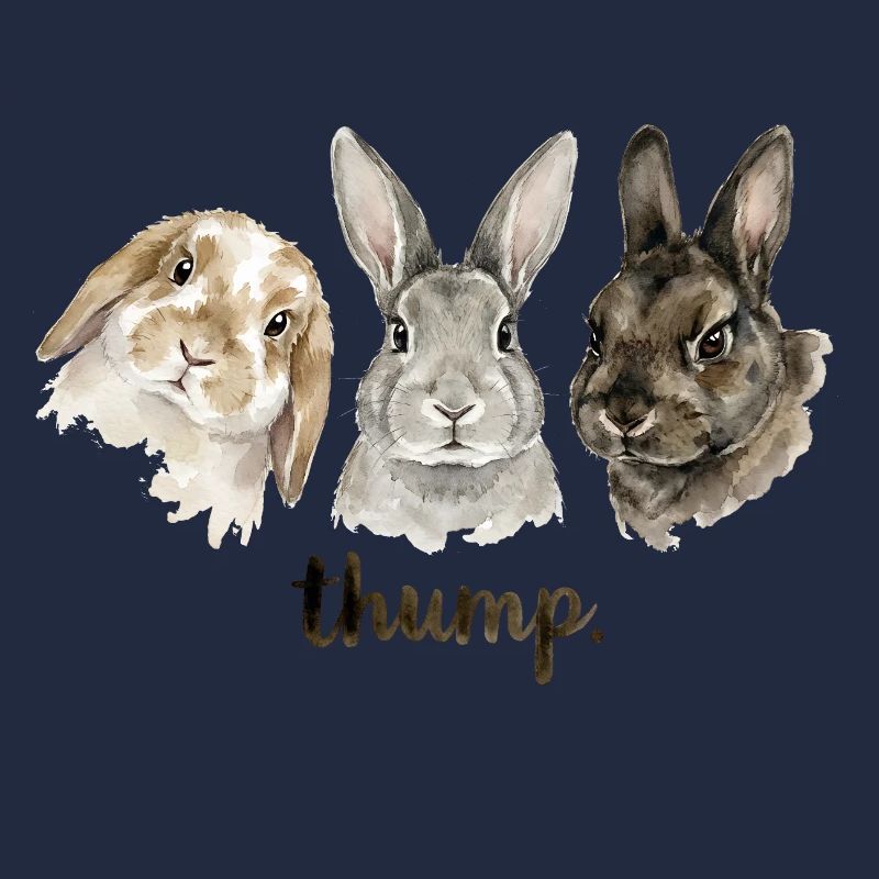 Fun rabbit knocking for rabbit lovers