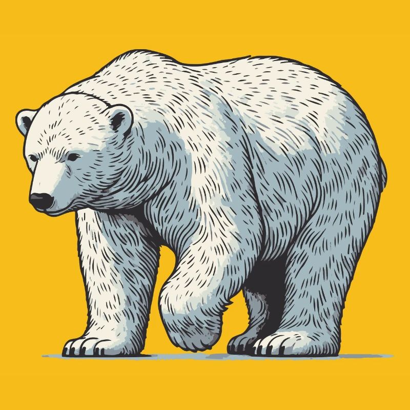 Ours blanc
