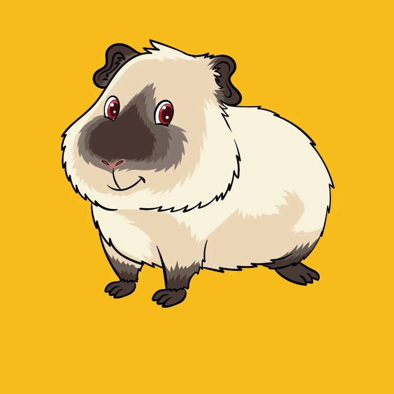 Mignon propriétaire de cochon d'Inde de l'Himalaya et