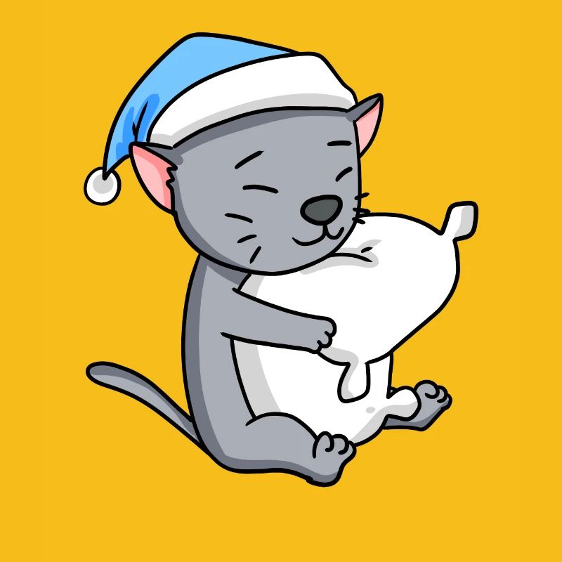 Cat cat breed Korat