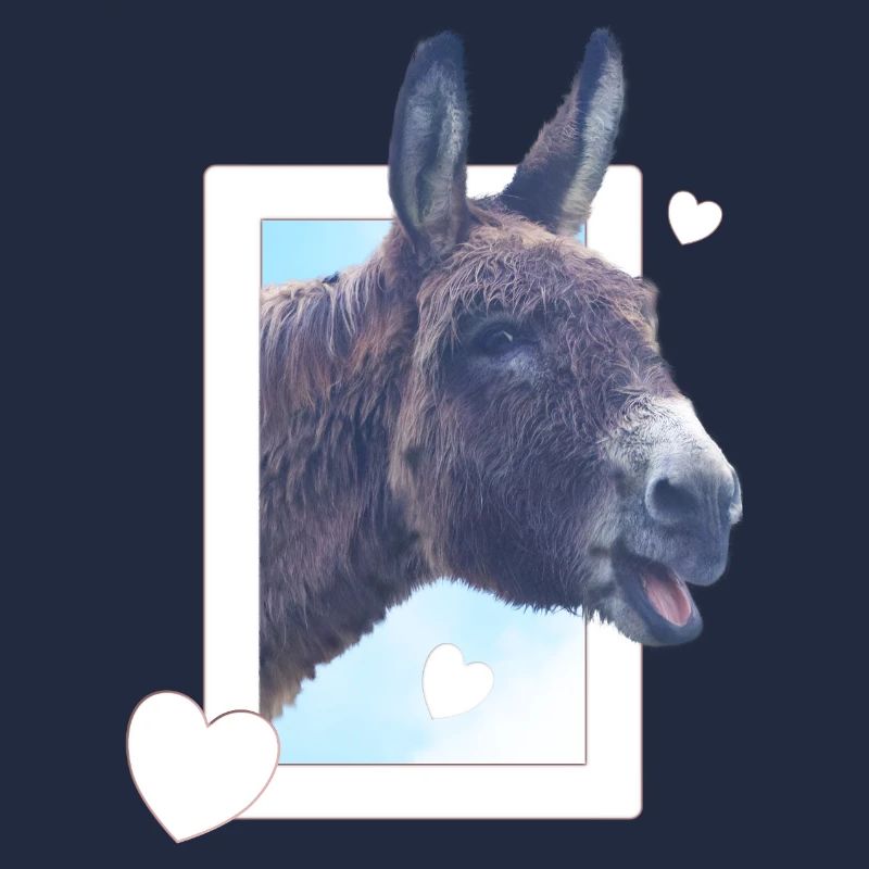 Cute donkey peeks through the window heart