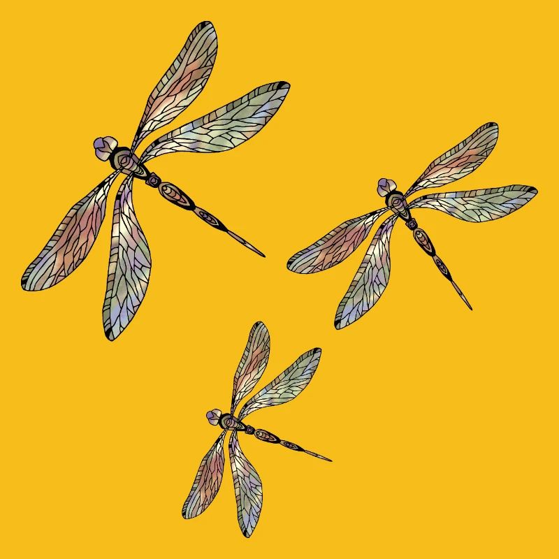 Libellules