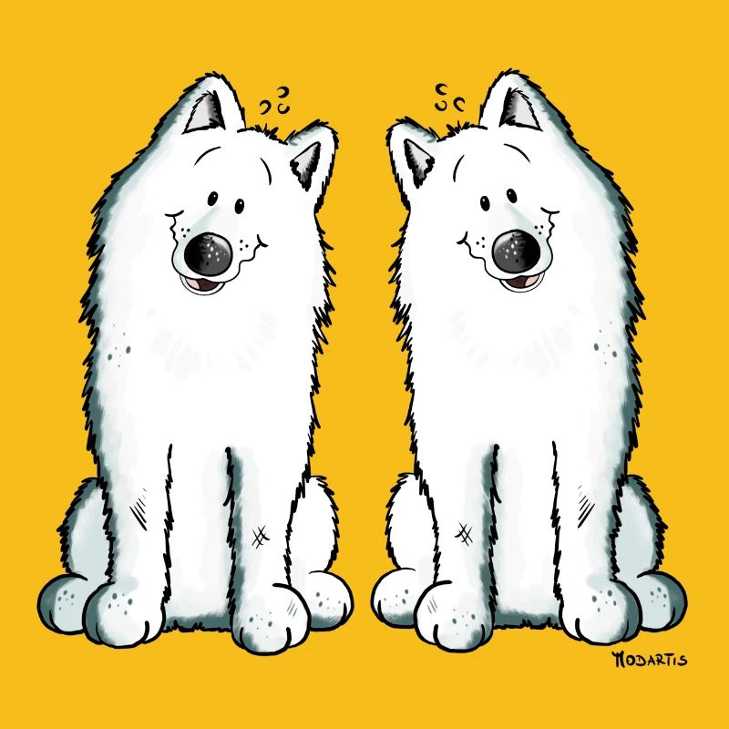 Samoyed Team - Samoyède